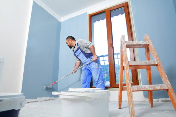 Best Biohazard Mold Removal  in Ketchum, ID