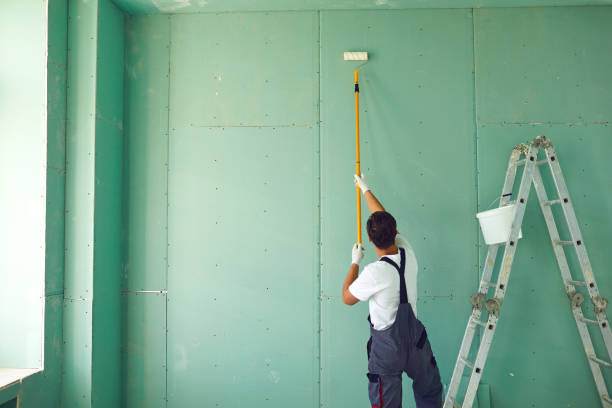 Best Mold Prevention Services  in Ketchum, ID