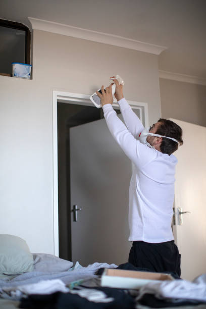 Best Environmental Consulting for Mold Prevention  in Ketchum, ID