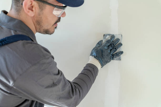 Best Water Damage & Mold Remediation  in Ketchum, ID