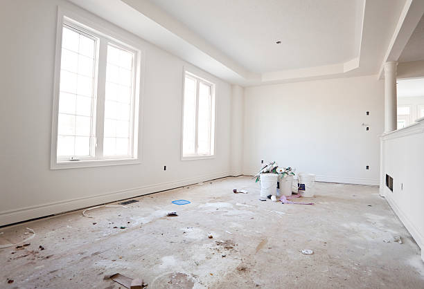 Best Basement Mold Removal  in Ketchum, ID