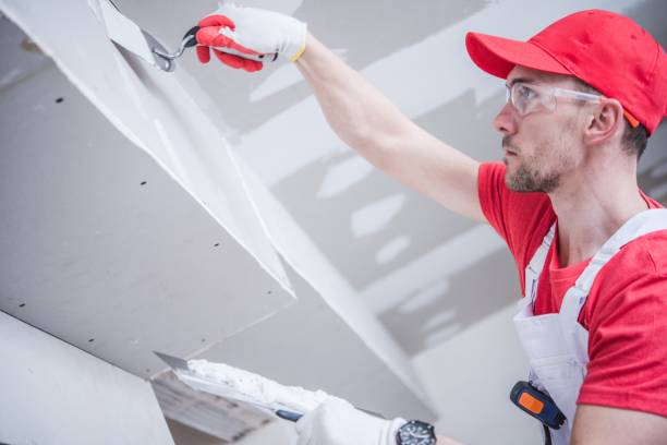 Best Residential Mold Inspection & Testing  in Ketchum, ID